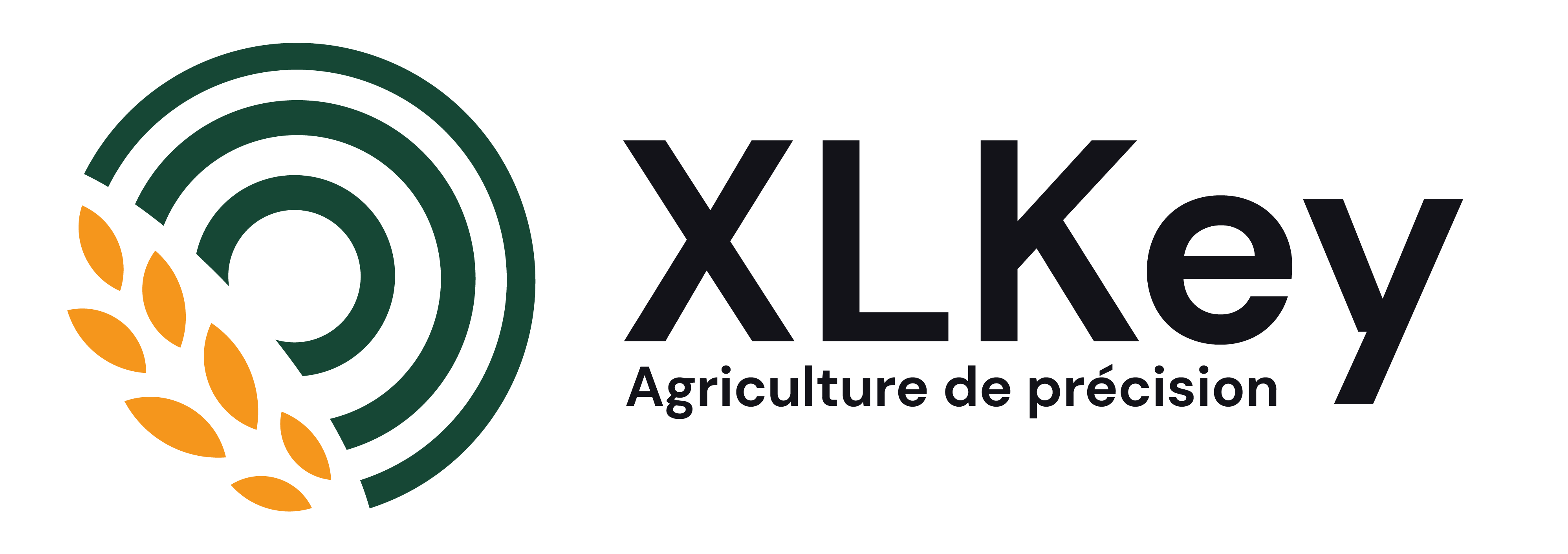 Logo XLKey